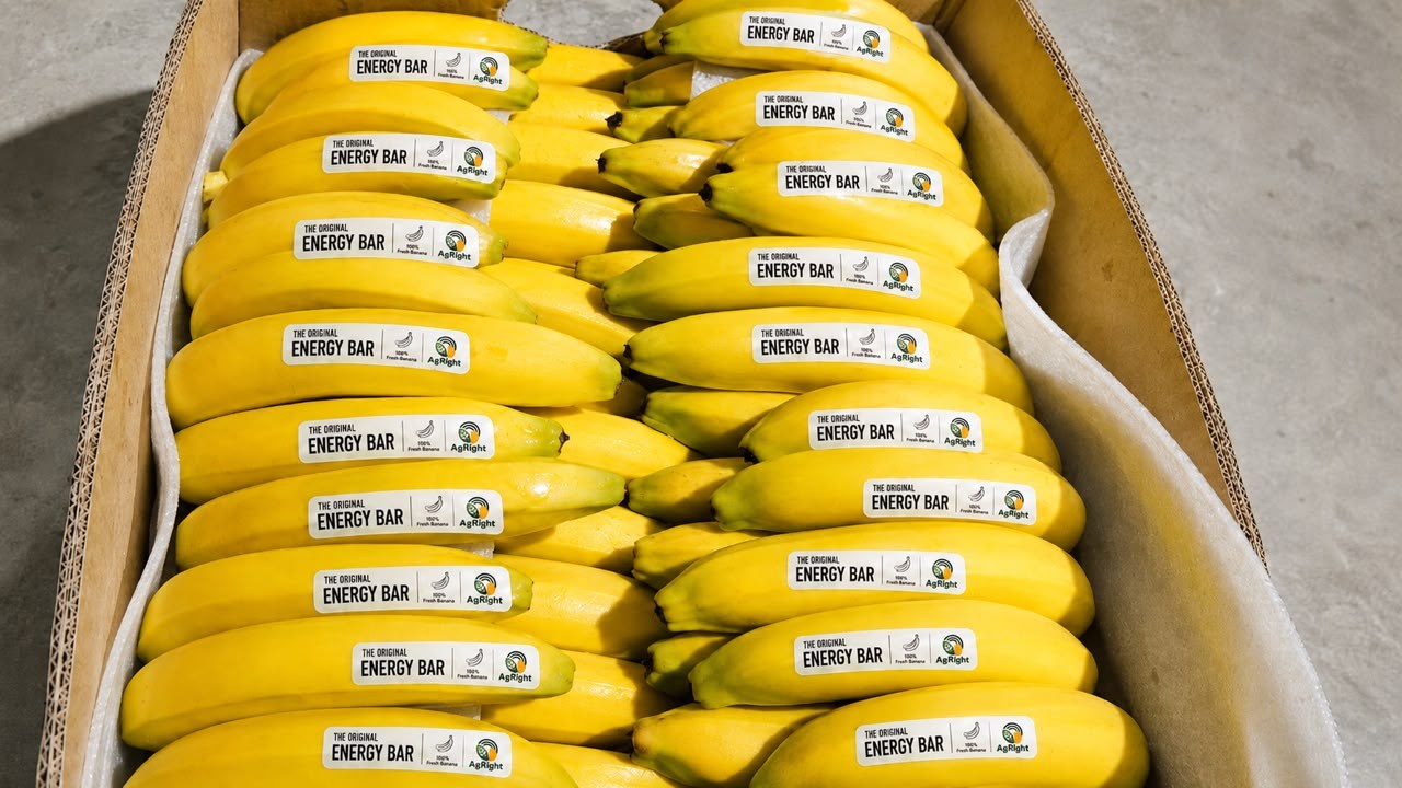A box of fresh bananas labeled as the original energy bar